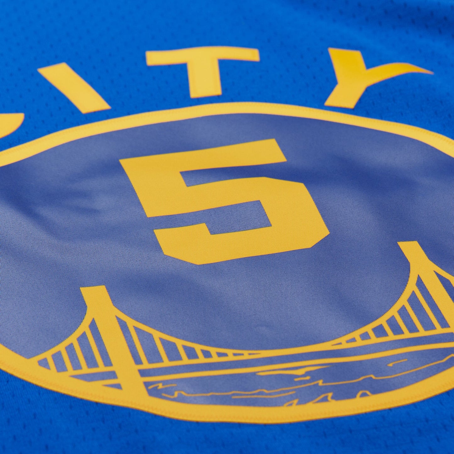 Men's Golden State Warriors Baron Davis Mitchell & Ness Royal Hardwood Classics 2004/05 Swingman Jersey