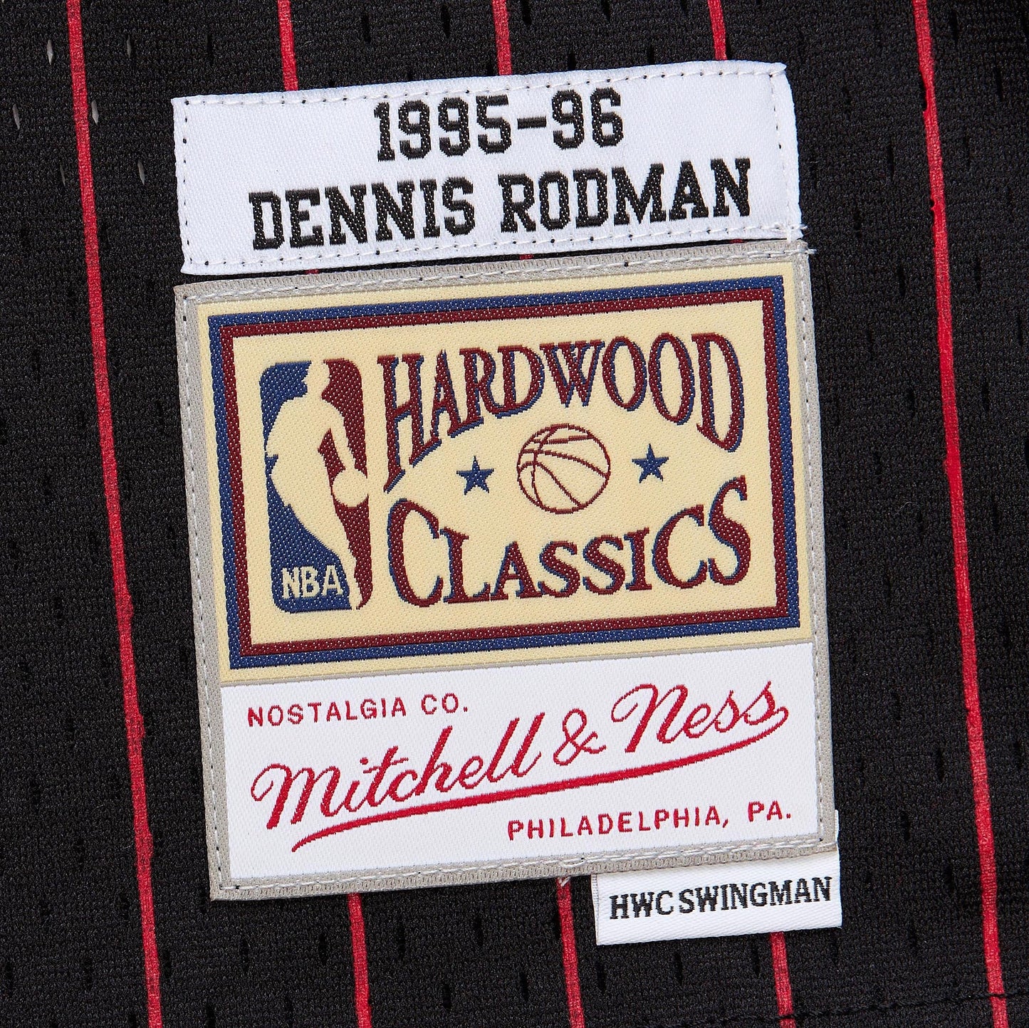 Youth Chicago Bulls Dennis Rodman Black 1995/96 Swingman Jersey